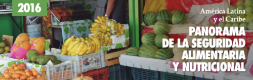 Panorama De La Seguridad Alimentaria Y Nutricional En Am Rica Latina Y El Caribe